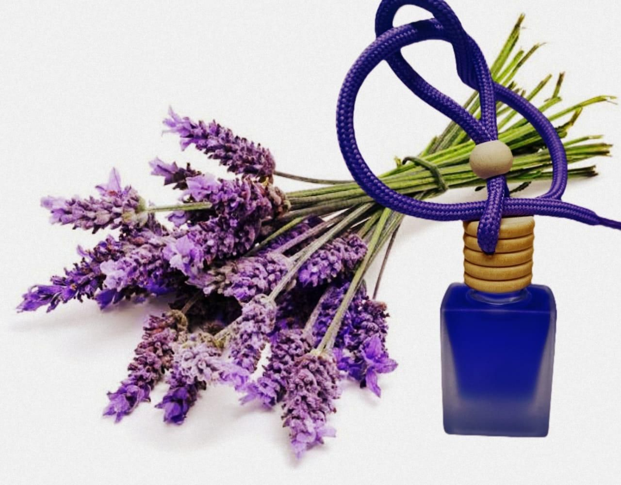 Hanging Car Perfume Pods Diffuser Scent (Pack of 1 Assorted Perfume) - SHIPPED TO YOU
